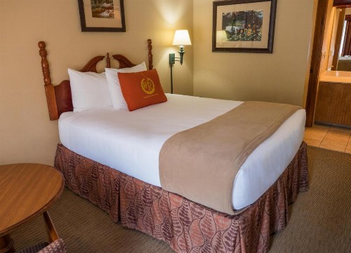 Wild Bear Inn - image 18