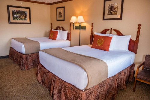 Wild Bear Inn - image 21