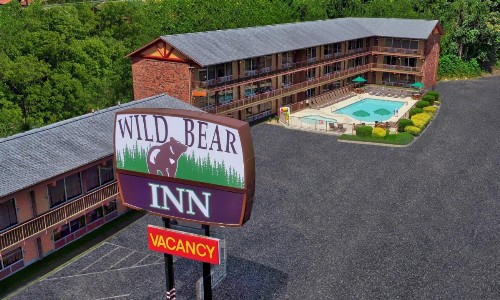 Wild Bear Inn - image 3