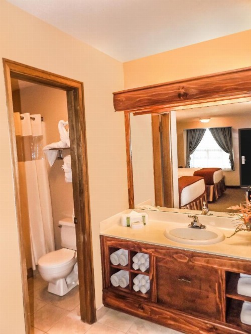 Wild Bear Inn - image 31