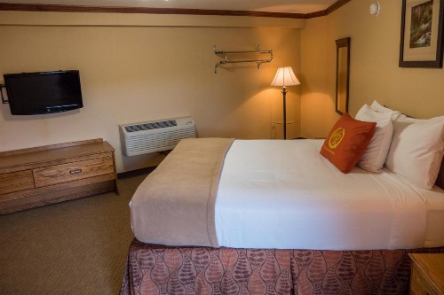 Wild Bear Inn - image 9