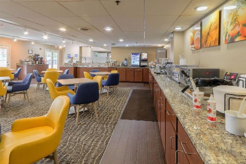 Comfort Inn & Suites at Dollywood Lane - image 19