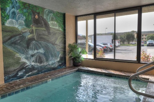 Comfort Inn & Suites at Dollywood Lane - image 29