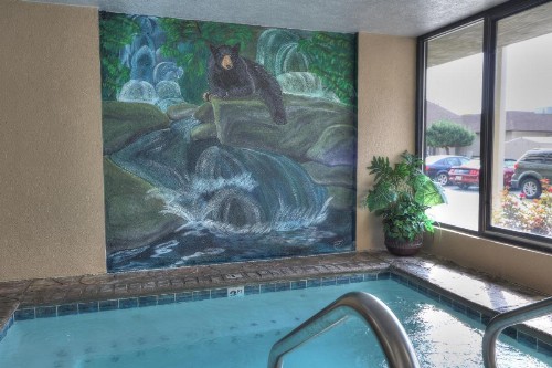 Comfort Inn & Suites at Dollywood Lane - image 46