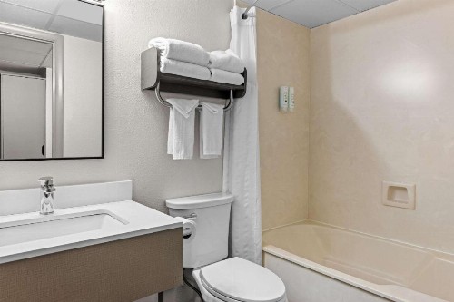 Quality Inn & Suites at Dollywood Lane - image 43