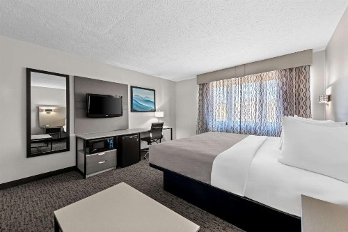 Quality Inn & Suites at Dollywood Lane - image 48