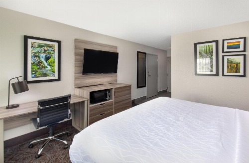 La Quinta Inn by Wyndham Pigeon Forge-Dollywood - image 45