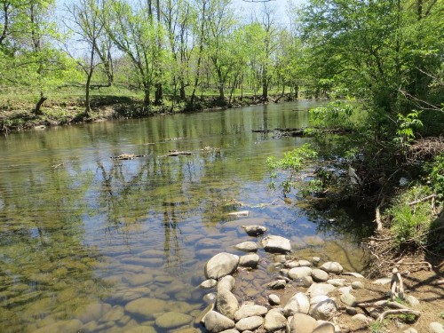 River Place Inn & Cabins - image 16