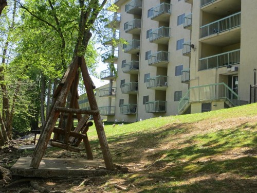 River Place Inn & Cabins - image 17