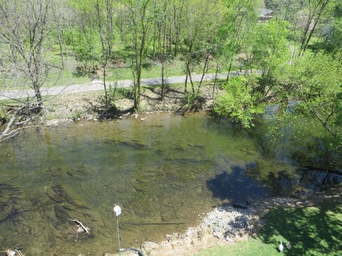 River Place Inn & Cabins - image 36