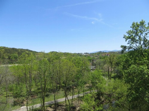 River Place Inn & Cabins - image 41