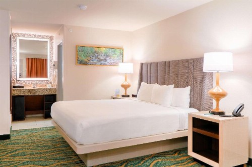 Quality Inn Near the Island Pigeon Forge - image 11