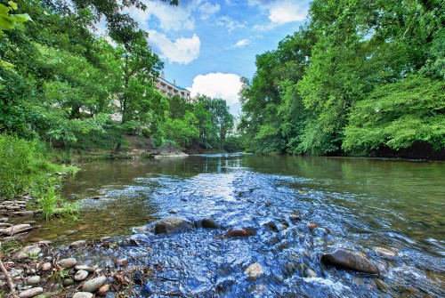 Music Road Resort - image 40