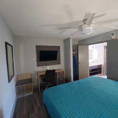 Mountain Vista Inn & Suites - Parkway - image 46