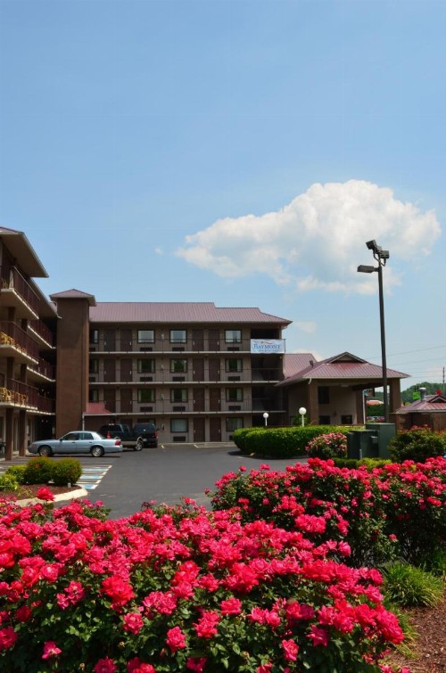 Baymont by Wyndham Pigeon Forge - image 7
