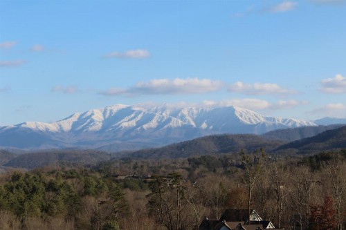 What A View - image 1