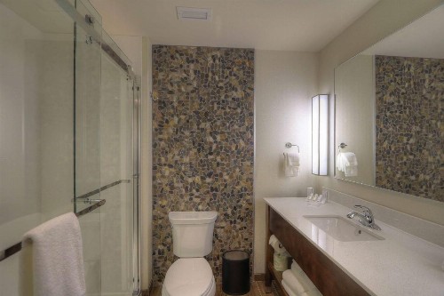 Hilton Garden Inn Pigeon Forge - image 28