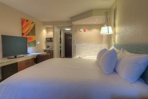 Hilton Garden Inn Pigeon Forge - image 4
