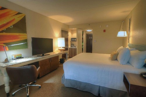 Hilton Garden Inn Pigeon Forge - image 6