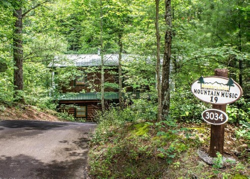 Mountain Music #19 - image 10