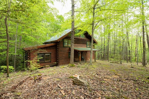 A Rustic Elegance #4 - image 11