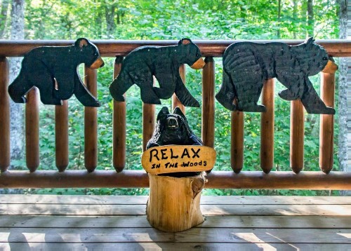Bear Crossing #6 - image 7
