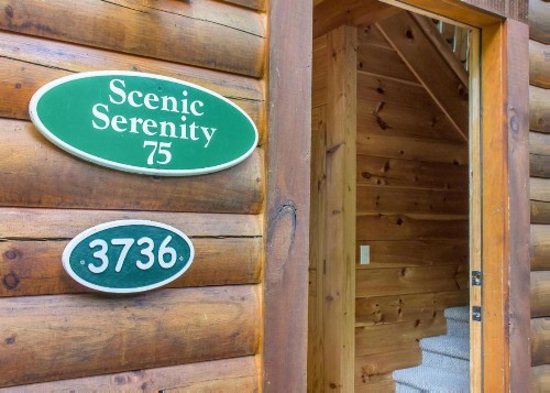 Scenic Serenity #75 - image 20