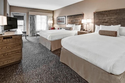 Black Fox Lodge Pigeon Forge Tapestry Collection by Hilton - image 16