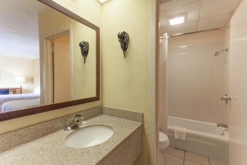 Lodge at Mill Creek Pigeon Forge - image 9