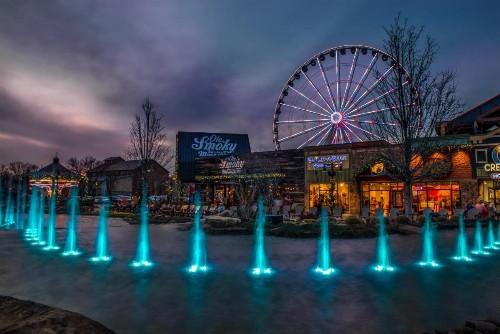 Wildwood - image 6