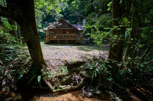 A Cabin In The Woods - image 40