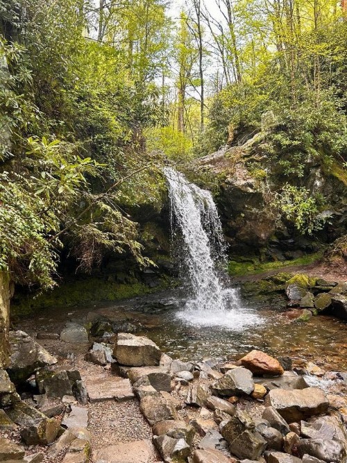Emerald Woods - image 19