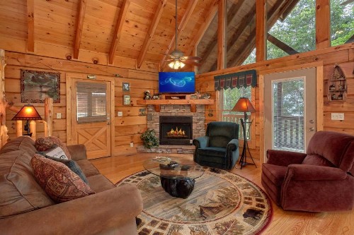 Catch Me If You Can Cabin - image 11