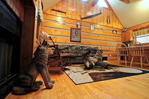 Dances with Wolves - image 6