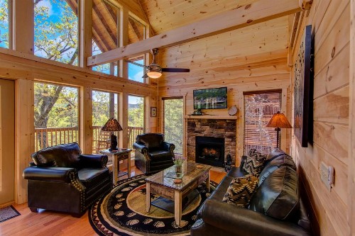 IncomBEARable Luxury Home - image 2