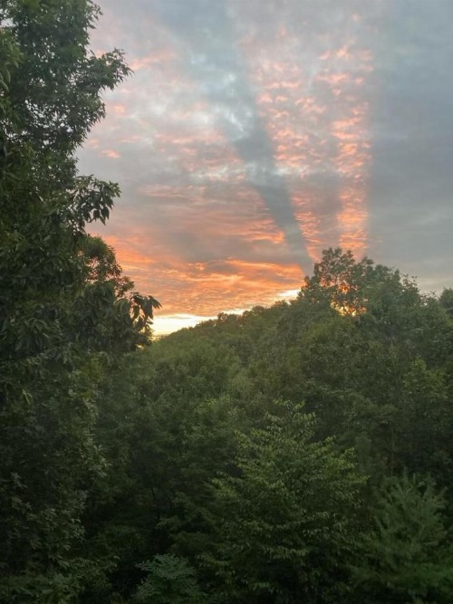 Sunset Lodge - image 15