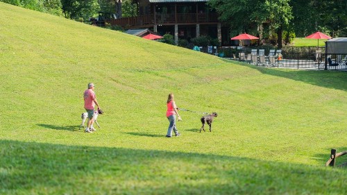 Sunset Lodge - image 16