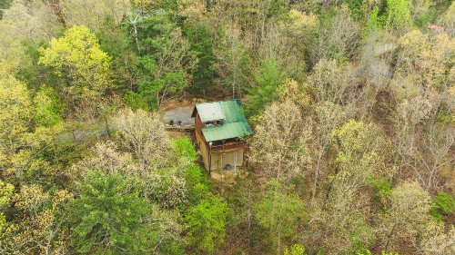 Cabin Fever - image 22