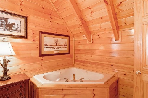 Dancing Bear Lodge - image 10
