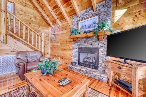Treehouse - image 11