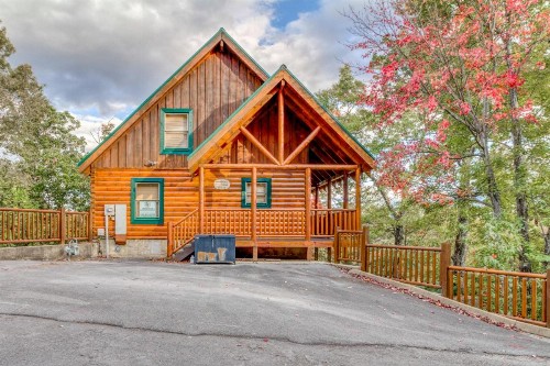 Treehouse - image 7