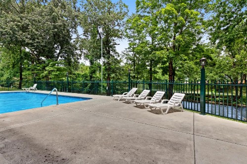 Pigeon Forge Paradise - image 5