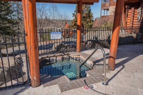 Bear Claw · Bear Claw Retreat in Pigeon Forge! - image 12