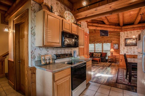 Great Wolf Cabin in Pigeon Forge! - image 3