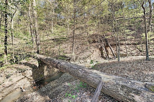 Secluded Creekside Retreat with Private Hot Tub cabin - image 5