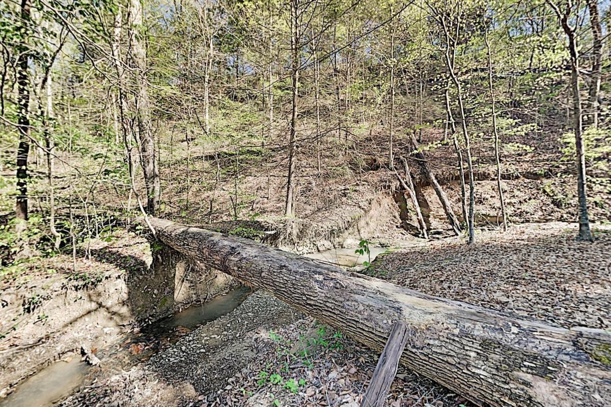 Secluded Creekside Retreat with Private Hot Tub cabin - image 5