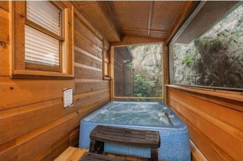 Pleasant Hollow cabin - image 1