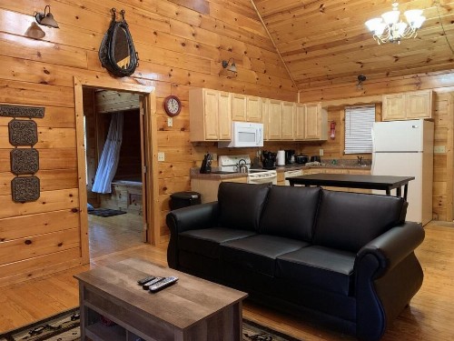 Pleasant Hollow cabin - image 3