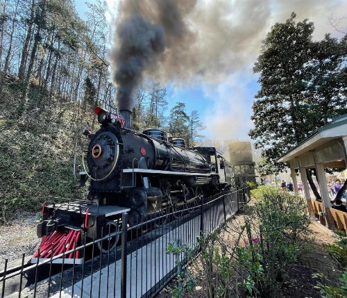 Smoky Mountain Motor Lodge At Dollywood LN - image 26