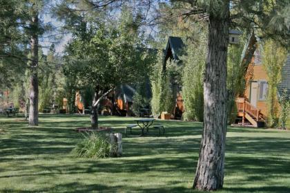 Cabins on Strawberry Hill - image 5